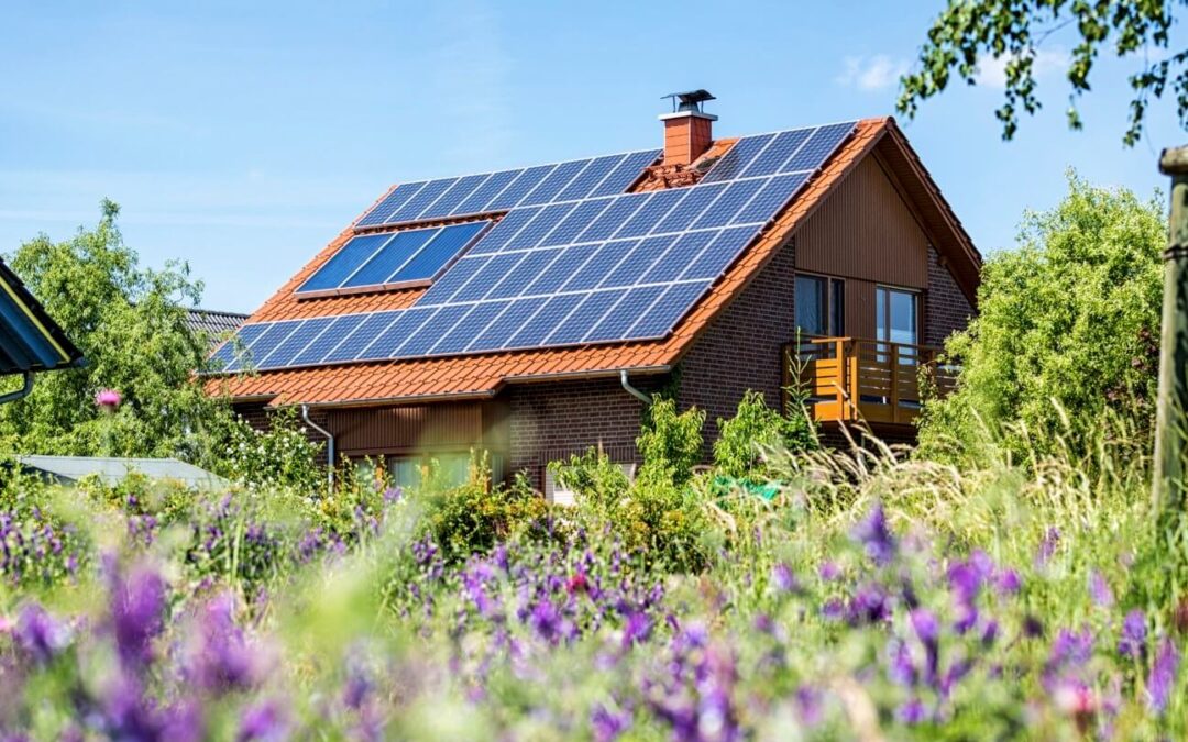 Enact Solar Announces Strategic Partnership with Renusol